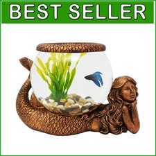 Acquario in vetro sirena