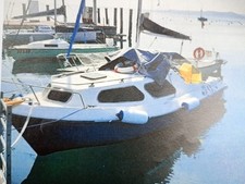 Pilotina con motore entrobordo