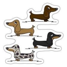 Bassotto bassotto cane regalo