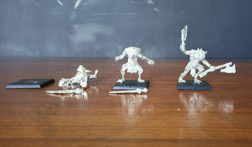 Warhammer chaos trolls - warhammer,