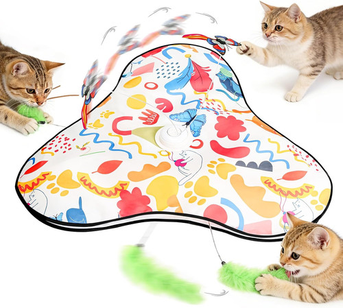 Gioco interattivo gatto - gioco,