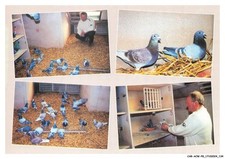 CAR-ACWP8-0559-76 - LE HOULME