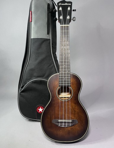 Breedlove pursuit exotic - breedlove,