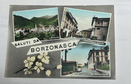 Cartolina saluti borzonasca - saluti, da