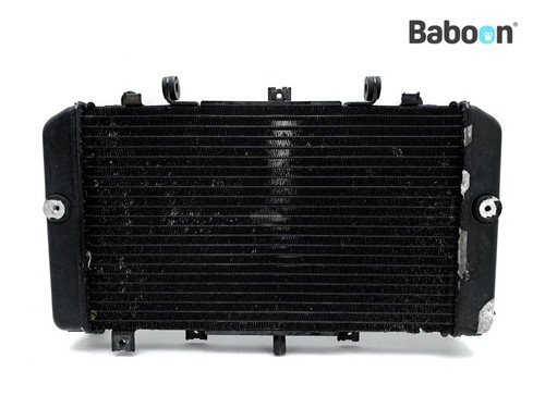 Radiator kawasaki 1000 - radiator,