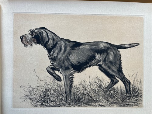 1944 nos chiens l avenir - "nos, de