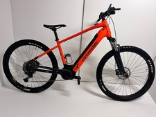Bicicletta elettrica (E-MTB)
