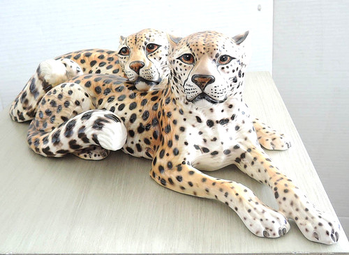 Rara coppia leopardi - coppia,