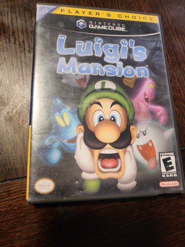 Luigi mansion nintendo - luigi's,