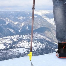 Pointe En Carbure Pointe de