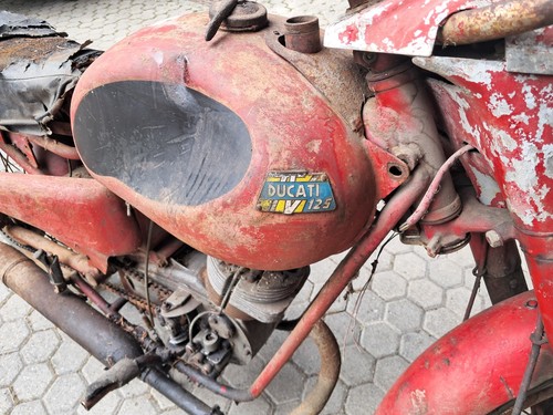 Ducati 125 - ducati, ts