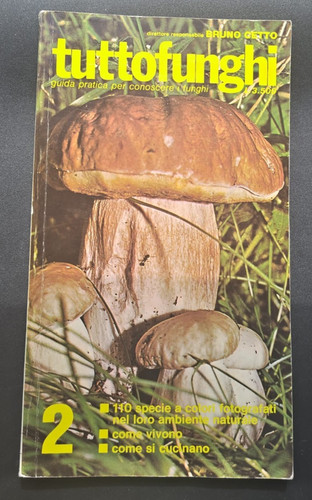 Tutto funghi bruno - funghi,