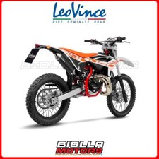 17005 MARMITTA LEOVINCE BETA