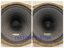 Set coppia altoparlanti