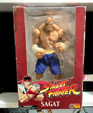 Street Fighter Saget Action