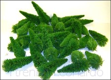 ABETI economici per plastici e diorami lotto 43 PZ. HO/N.