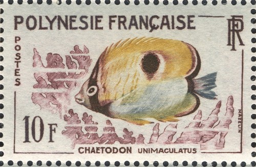 Polinesia francese 1962 - 1962,, pesce