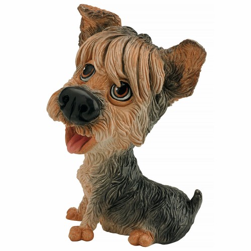 Little paws yorkshire terrier - paws,
