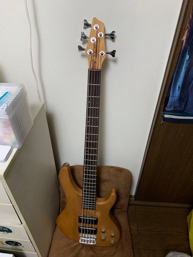 Washburn basso elettrico - , 5