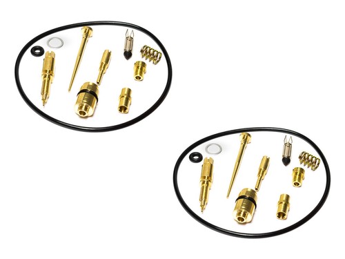 Carburatore riparazione set - riparazione, 2