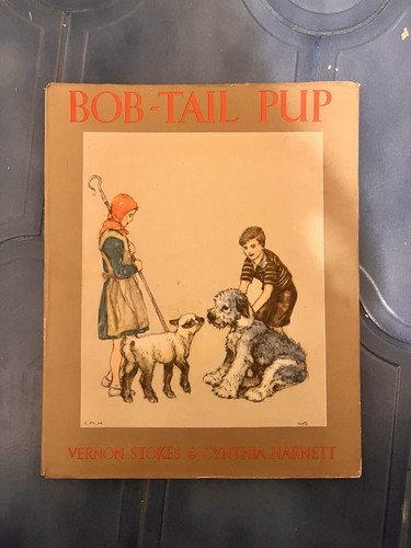 Bob tail pup vernon - pup,