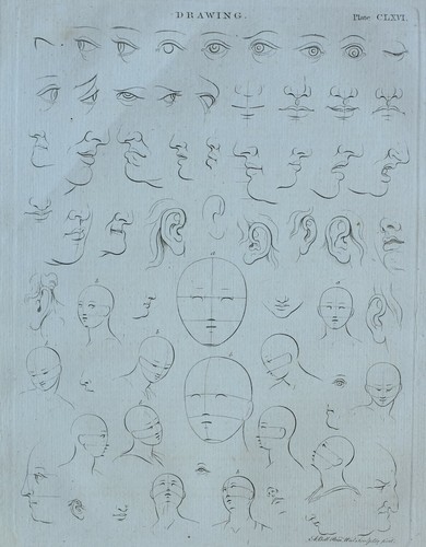 1797 stampa originale disegno - 1797,