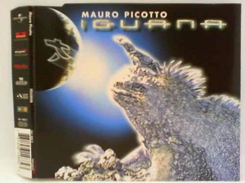 Iguana mauro picotto - iguana,