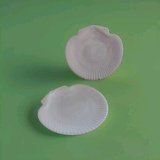 Antica Coppia Piatti Conchiglia Pecten Wedgwood Etruria England c1870 Porcellana