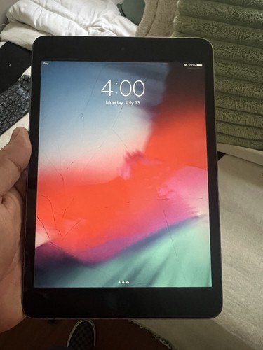 Apple ipad mini generazione - 2a,