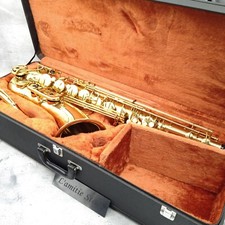 YANAGISAWA T-500 & custodia
