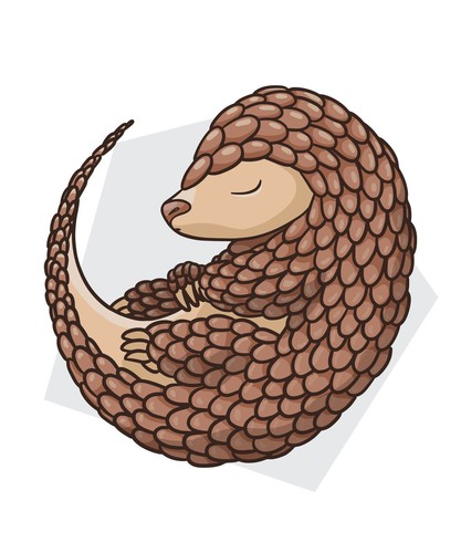 Adesivo pangolino asia - adesivo, save