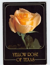 Cartolina Rosa Gialla del