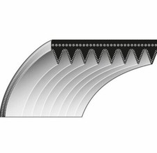 Cinghia dentata trattorino