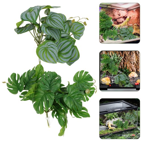 Pcs piante per acquario - piante,