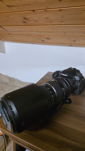 Canon eos 80d tamron 150 - canon, 150-