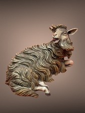 Pecora Animale Da cortile