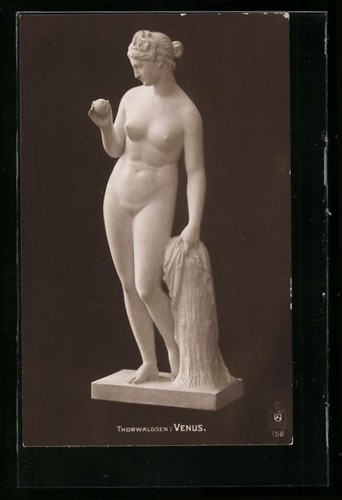 Venere donna nuda tiene una - nuda,