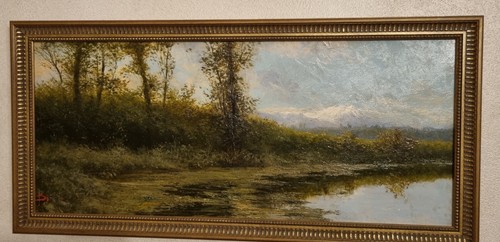 Quadro olio tela - olio,