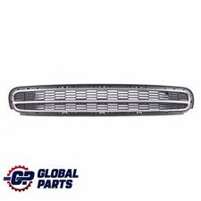 Griglia decorativa paraurti