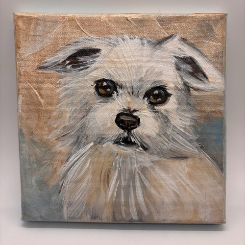 Quadro maltese tela - maltese,