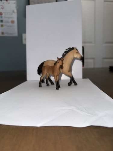 Schleich 2017 quarto cavallo