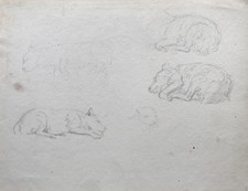 Disegno Matita Studio Schizzo