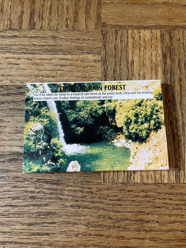 Tropical rain forest cassette - rain,