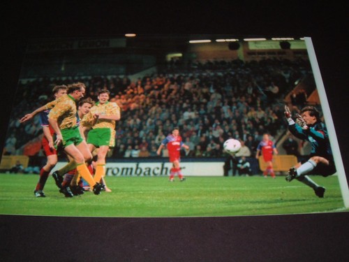 Norwich city bayern - city, v