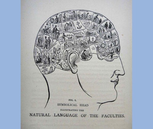 1878 antique phrenology self - 1878,
