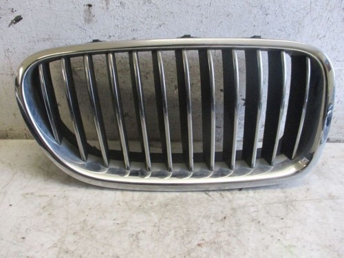Front radiator grille chrome - front,