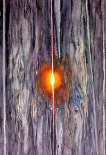 Vecchie tavole in legno con