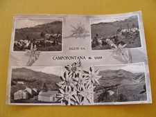 (FG.RR100) Saluti da CAMPOFONTANA di Selva di Progno (vg 1961 annullo Grantola)