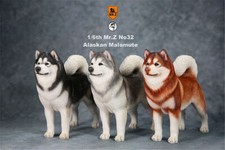 Mr.Z 1/6th Alaskan Malamute