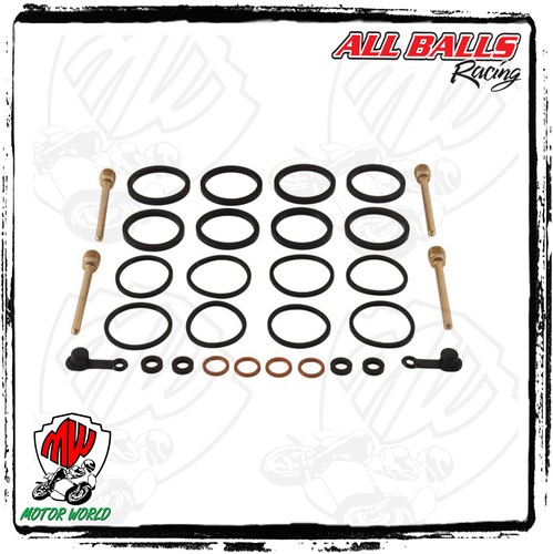 Kit revisione pinza freno - revisione,